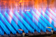 Rivar gas fired boilers
